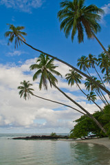 Fototapeta na wymiar tropikalna wyspa