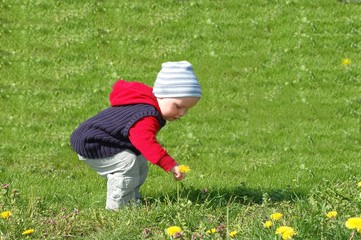 Cute child with flower