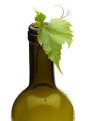 wine bottle and green grape vine