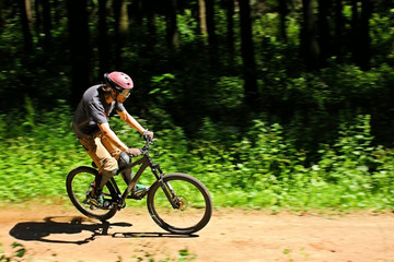 Naklejka premium Cyclist in forest