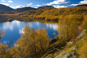 Fototapeta na wymiar Krajobraz południowej Vestlandet, Norwegia