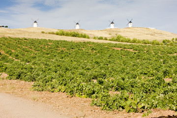 windmills, Alcazar de San Juan, Castile-La Mancha, Spain