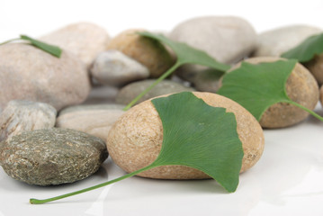 stone with leaf