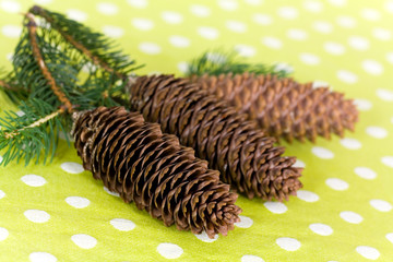 Tannenzapfen
