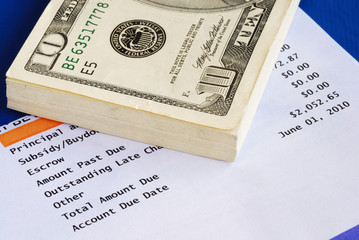 Earn enough money to pay for the mortgage