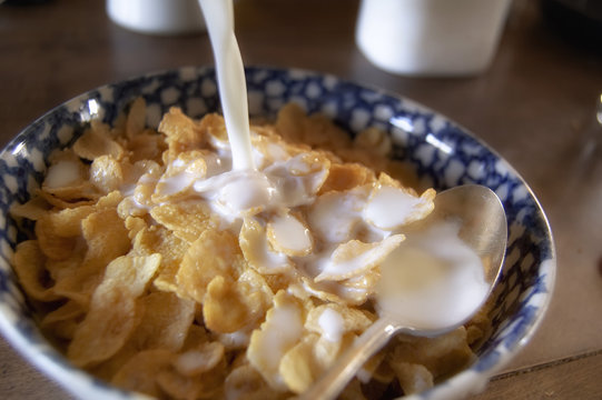 bowl of ceral