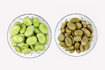 Raw and cooked broad beans