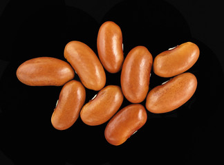 Brown beans 