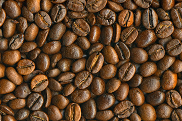 Black coffee beans background, high resolution