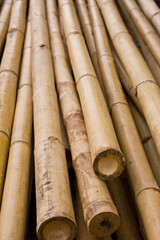 Bamboo pattern with cut out