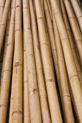 Bamboo pattern