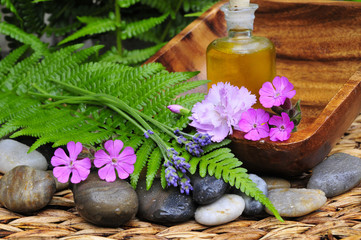 Wellness Sauna Spa