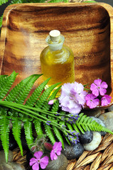 Wellness Sauna schale