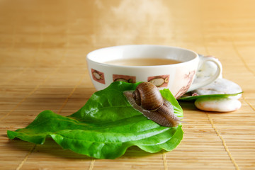 Green tea
