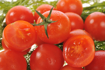 tomatoes