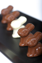 Pâques-P'tit Lapins