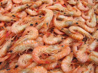 20100624_淡路島の海老