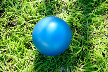 Dark blue children's ball on a grass