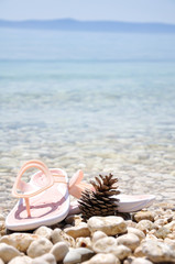 Pine cone at the beach with pink slippers