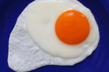 egg
