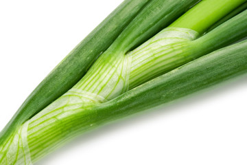 Spring onions isolated on white