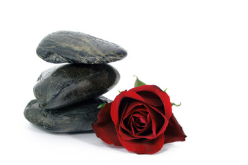 steine mit rose