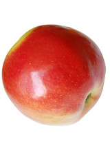 isolated apple