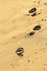 Sand Prints