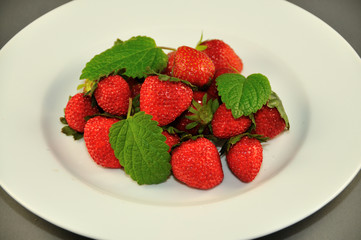 Erdbeeren