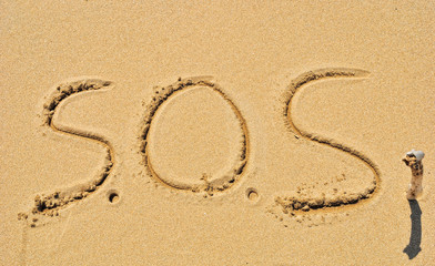 Fototapeta na wymiar SOS na plaży