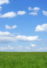 Beautiful Nature - Green & Blue Concept