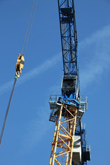 Naklejka premium grue