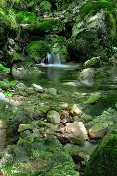 piccolo paradiso - San Gregorio nelle Alpi