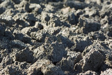 Cultivated soil background