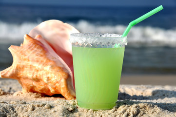 Margarita and Seashell on Beach