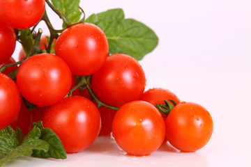 coctailtomaten,gemüse