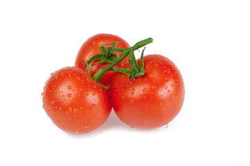 tomatoes