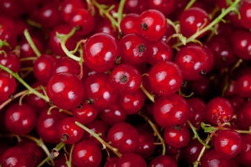 red currant