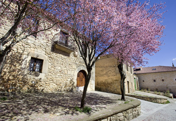 Casa blasonada y cerezos en flor