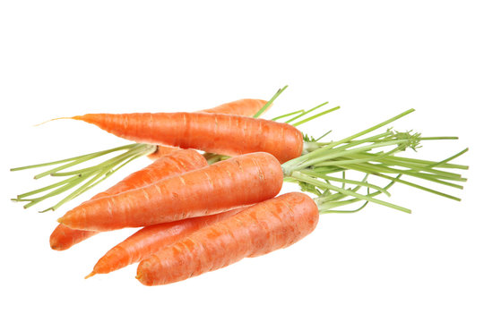 Carrot vegetable on white