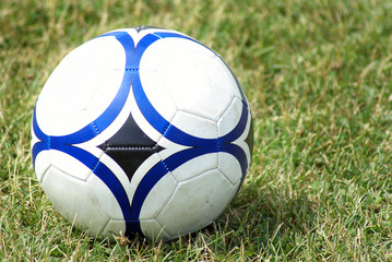 Plakat Soccer Ball on the Grass