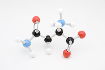 Asparagine Amino Acid Molecule
