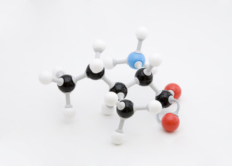 Isoleucine Amino Acid Molecule