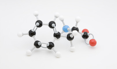 Phenylalanine Amino Acid Molecule