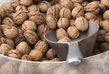 Walnuts for Sale