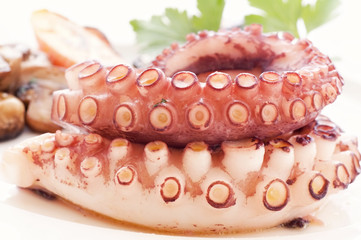 Gegrillter Oktopus © HLPhoto