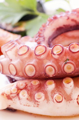 Gegrillter Oktopus © HLPhoto