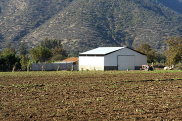 Bodega Agricola