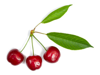 three ripe cherries with leaves