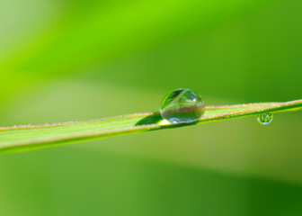 Wassertropfen